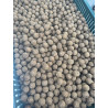 Kulki proteinowe "Classic" B Power Fish 1 kg 20 mm