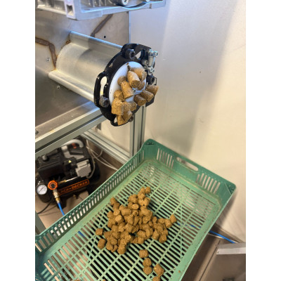 Kulki proteinowe "Oval pellet" B Power Fish 1 kg 18 mm