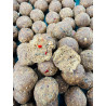 Kulki proteinowe "Classic" Spicy Ocean Protein 3 kg 20 mm